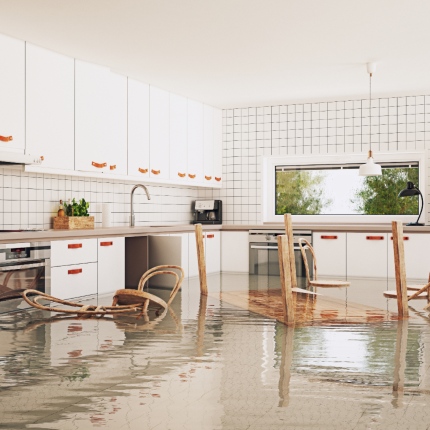 Diagnostics Immobiliers Baud 56150